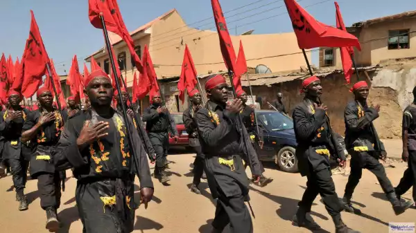 Soldiers at alert as Shiites storm streets of 10 states over ‘Israel atrocities in Palestine’